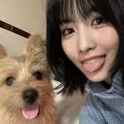 ハルカの画像