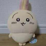 うさぎの画像