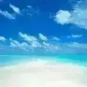 aiai ※値下げ交渉休止中の画像