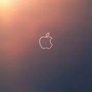 ラー