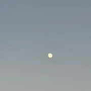 ぶ