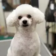 みくぺえ