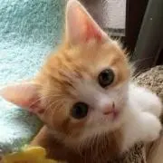 まぁちゃんの画像