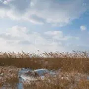 Haru：購入の際はコメント！プロフ必見