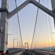 かぶれらの画像