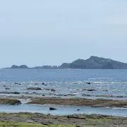 Junの画像