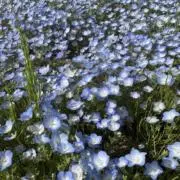 DAYの画像