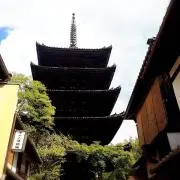ありやんの画像
