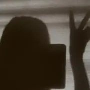 枝の画像