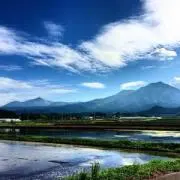 さぁ(・ω・)の画像