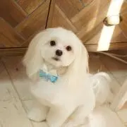 まさっぴ