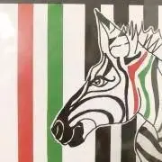 シナモンの画像
