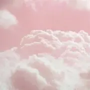みかんの画像