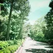 Jiroの画像