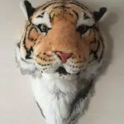 みっきょ