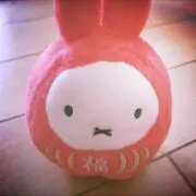 ぽのの画像