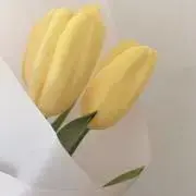 saku.の画像