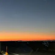 ミの画像