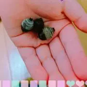 よちだ