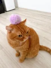 さちの画像
