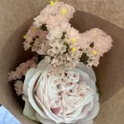 ひより
