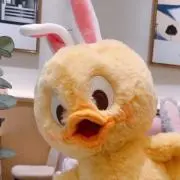 LEの画像