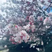 愛太郎