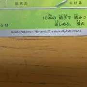 まりもの画像
