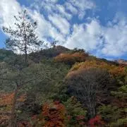 学1189の画像