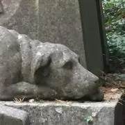 Image of ばんび