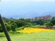 エコぽんの画像
