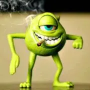 我輩クッシュの画像