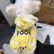 れおんの画像