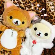 涼太朗✧︎*。の画像