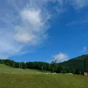 ひっちんの画像