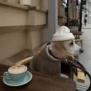 beの画像