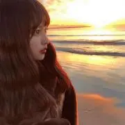 まめの画像