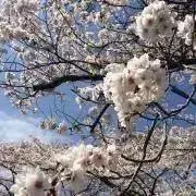 ゆず❤︎の画像