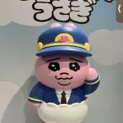 BJJの画像