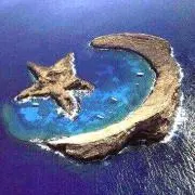 むらさきの画像