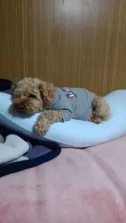 mu