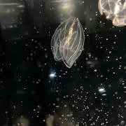 にこにこ