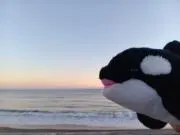 PO☆プロフィールご確認下さい☆の画像