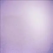 ロールケーキ