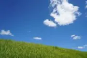 gogocarpの画像