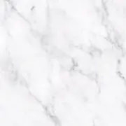 ミの画像