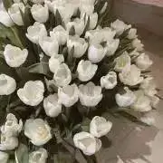 aの画像