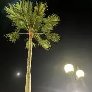 もあの画像