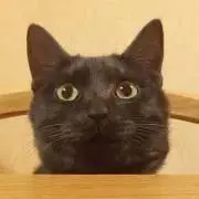 antonの画像