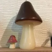kinocobunaの画像